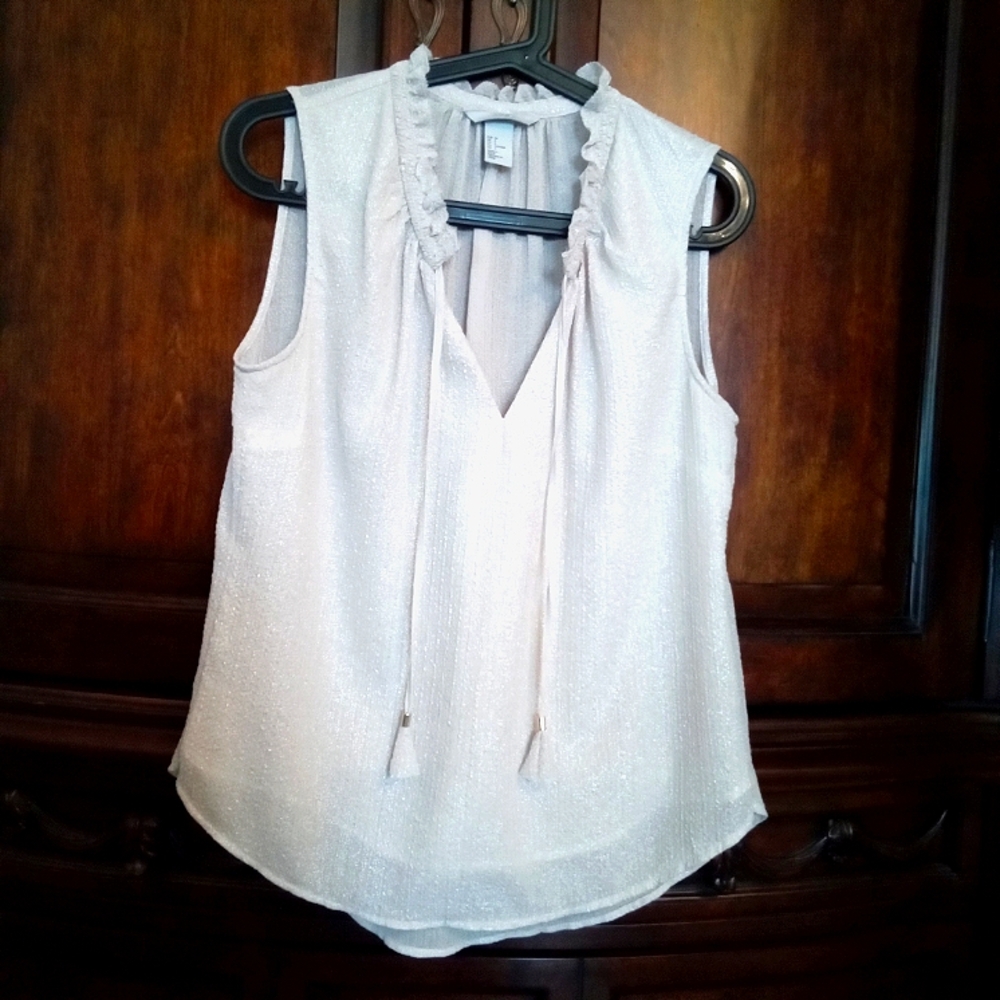 H&M Women's Sleeveless Ruffle V-Neckline Shimmer Blouse with Tassel Ties Medium